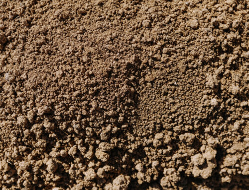 The Role of Soil Testing in Preventing Foundation Damage