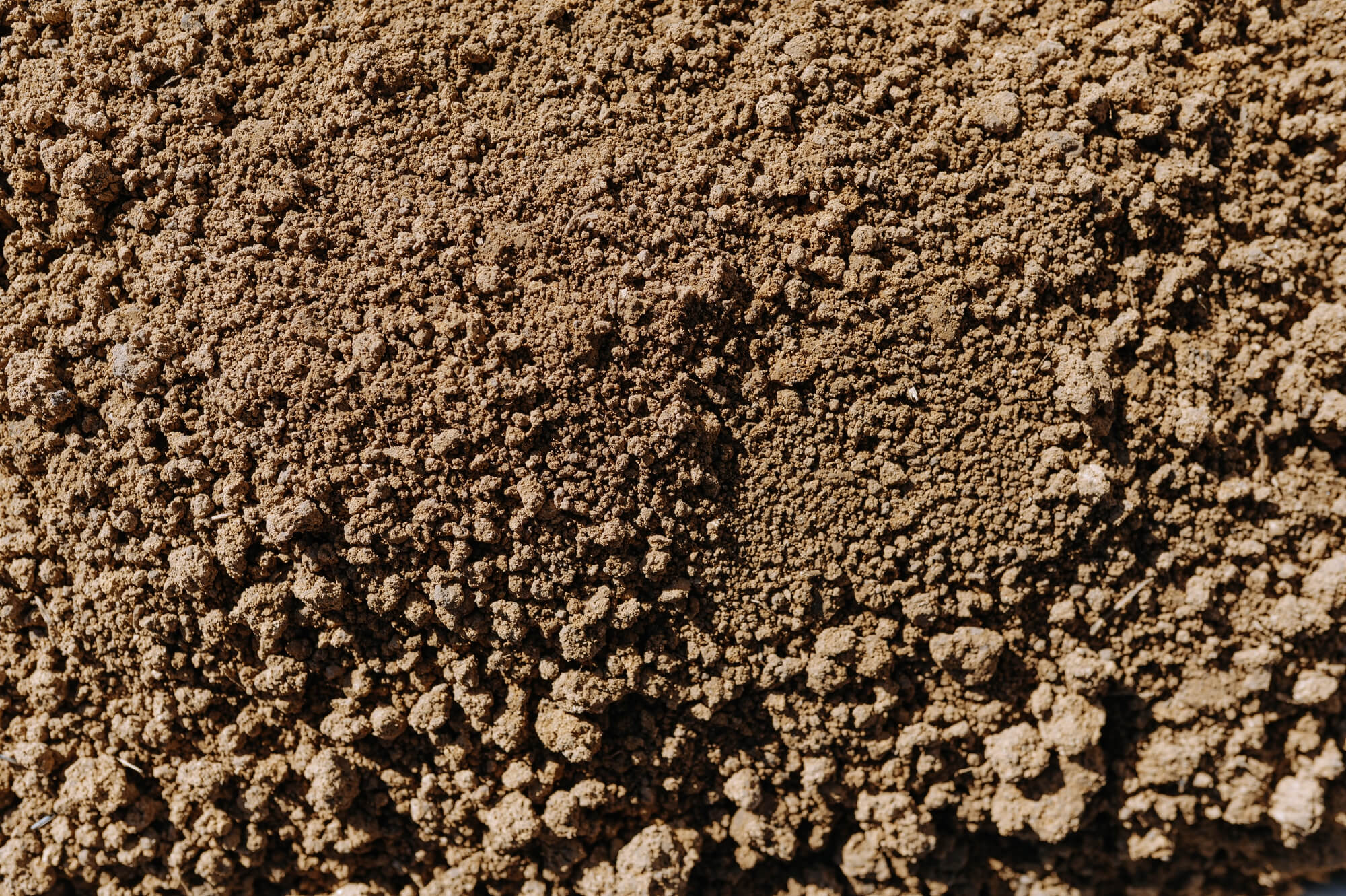 The Role of Soil Testing in Preventing Foundation Damage