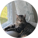 Ron Lumsden profile picture