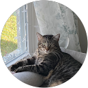 Ron Lumsden profile picture